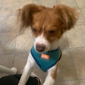 Meet your Posher, Abis